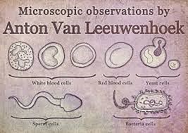 Antonie Van Leewenhoek [6]