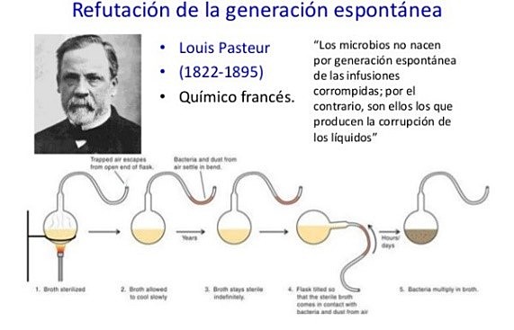 Louis Pasteur [16]