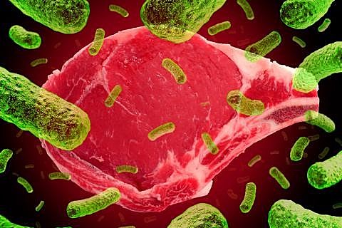 Heinrich Hermann Robert Koch [18]