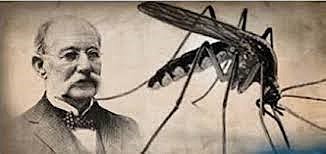 Carlos Juan Finlay Barrés [20]