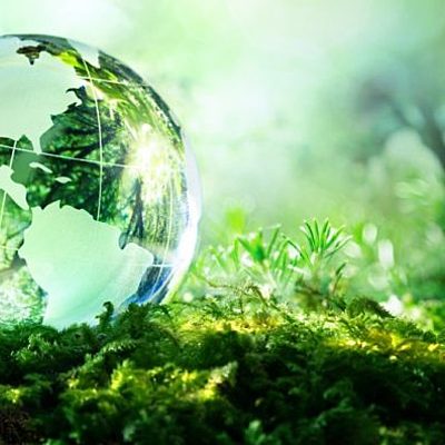 Timeline: Definición, Historia y Niveles de Estudio de la Ecología