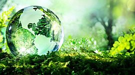 Timeline: Definición, Historia y Niveles de Estudio de la Ecología