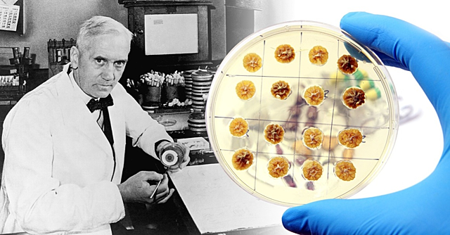 Alexander Fleming [36]