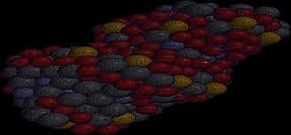 Andre Michael Wolf [44]