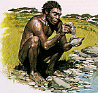 Homo habilis