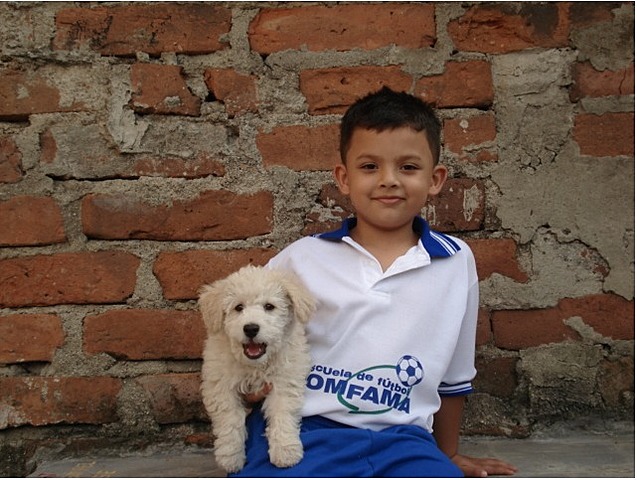 Mi primer perro.