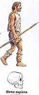Homo Sapiens