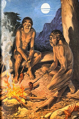 ALIMENTACION DEL H. ERECTUS