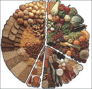 ALIMENTACION DE H. SAPIENS