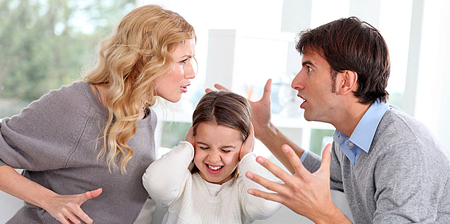 La inclusión de la materia familiar