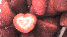 Timeline: Erase una vez...la historia de Blanca Paola Santoyo López