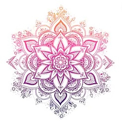 Timeline: Idalia Castillo