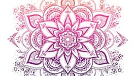 Timeline: Idalia Castillo