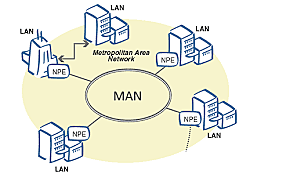 MAN network