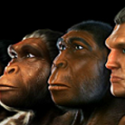 Timeline: Proceso de hominización