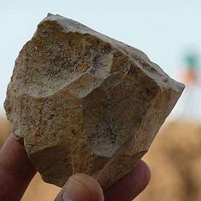 Timeline: Evolución Alimentación