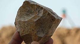 Timeline: Evolución Alimentación