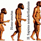 Prehistoria hominizacion small