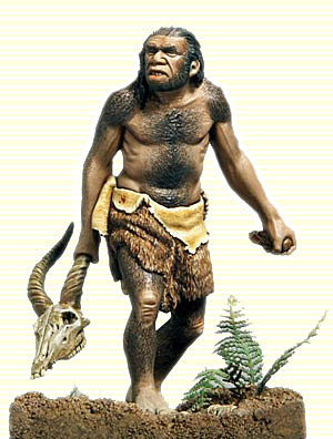 Homo Sapiens Neandaerthalensis