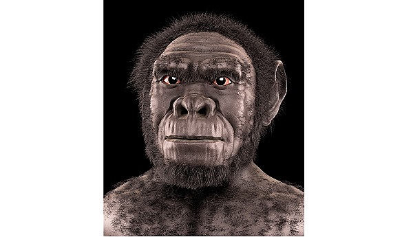 el principio, bípedos 10000000 años