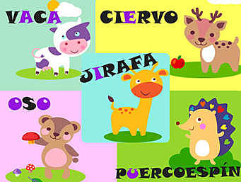 Separación delas palabras y en silabas