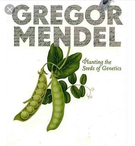 el libro de mendel