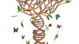 Timeline: la genética de poblaciones