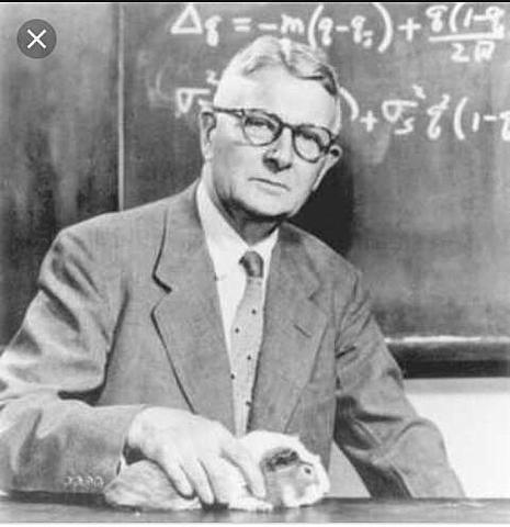 un paisaje adaptable