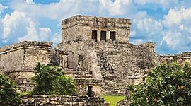 Timeline: Salud pública en México