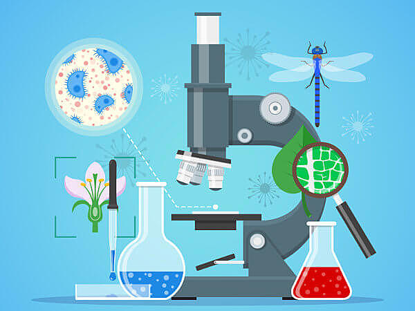 Idade Contemporânea