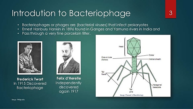 Frederick William Twort