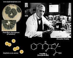 Alexander Fleming
