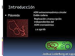 Joshua Lederberg
