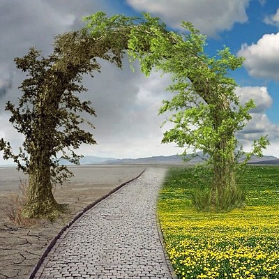 Timeline: Problematica Ambiental