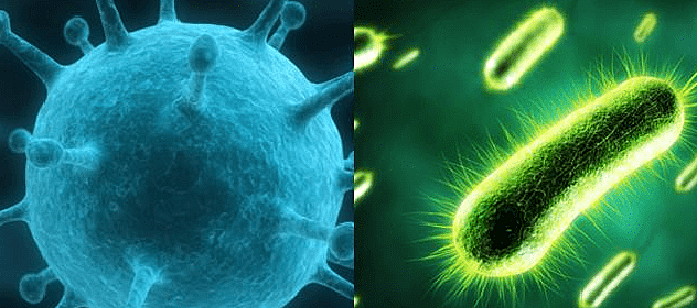 Robert Charles Gallo