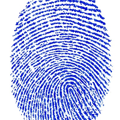 Timeline: Forensic History