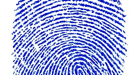 Timeline: Forensic History