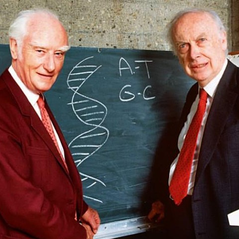 Strasburger y fleming