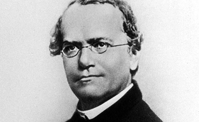 Gregor Mendel