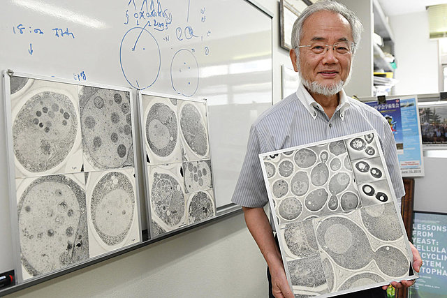 Yoshinori Ohsumi