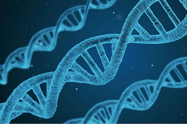 Conocimiento de Genes