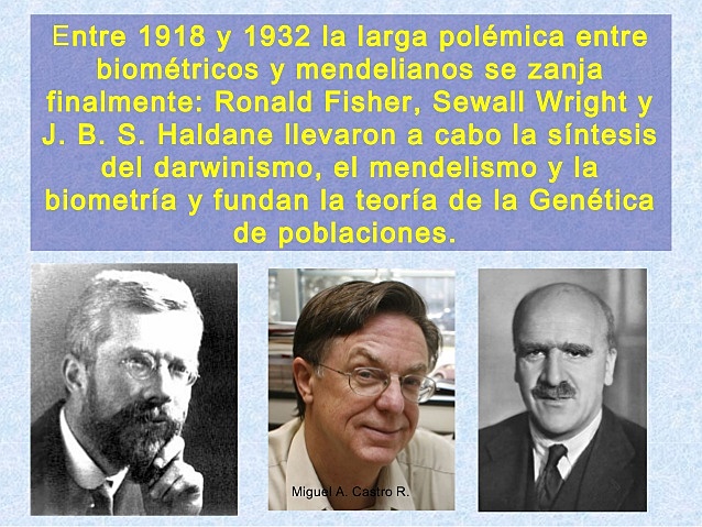 POLÉMICA ENTRE BIOMETRICOS Y MENDELIANOS