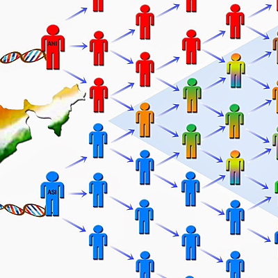 Timeline: historia de la genética de poblaciones