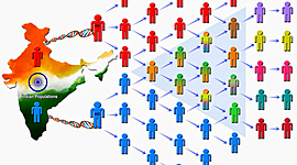 Timeline: historia de la genética de poblaciones