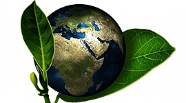 Timeline: Desarrollo Sostenible