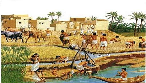 Agricultura, ganadería y alfarería