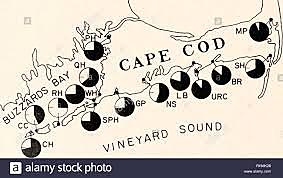 Frecuencias alelicas del locus