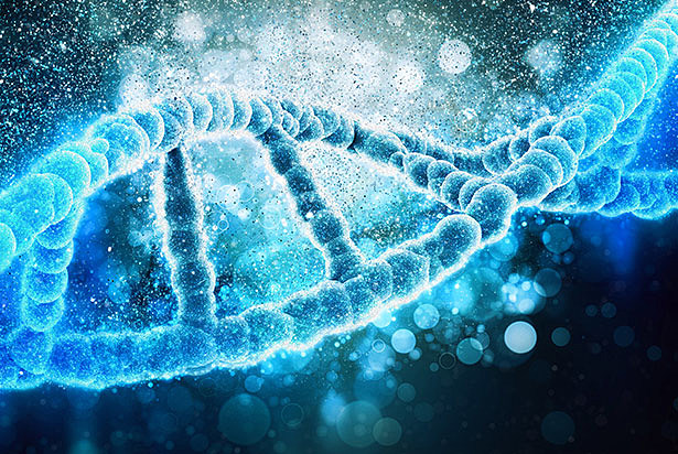 Conocimiento de Genes