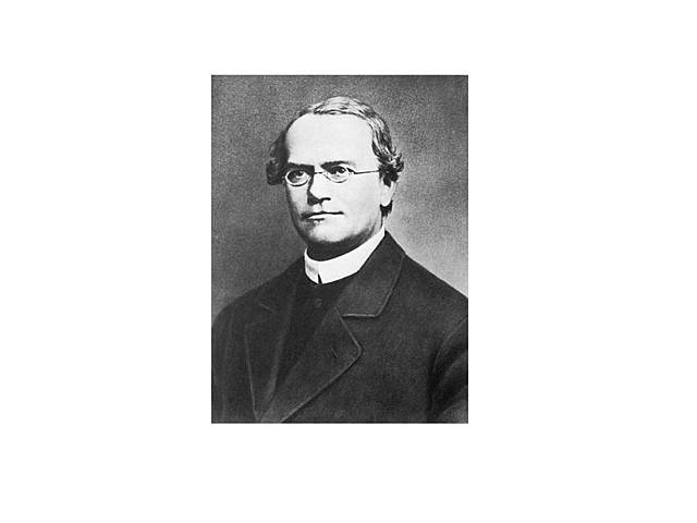 El monje Gregor Mendel publicó el trabajo Experimentos de hibridación en plantas en el Boletín de la Sociedad de Ciencias Naturales de Brno (1822-1824)