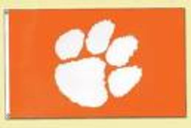 Clemson University Graduation